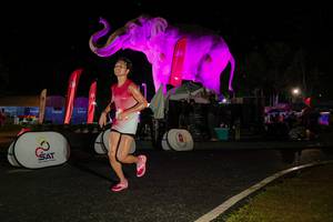 BIB: 
                            <button type="button" onclick="openModal(26534975)" class="btn btn-primary btn-sm float-right btn-popup" data-toggle="modal" data-target=".modal-high-quality">
                        <i class="fas fa-shopping-cart"></i> Add to Cart
                    </button>
                                            <button type="button" onclick="isThisMe(26534975, true)" class="btn btn-success btn-sm float-right btn-popup btn-isme hidden" data-toggle="tooltip" data-placement="bottom" title="นี่คือรูปของคุณใช่ไหม คลิกที่นี่เพื่อเอาเข้าอัลบั้ม">
                        <i class="fas fa-plus"></i> Add to album
                    </button>
                    <button type="button" onclick="isThisMe(26534975, false)" class="btn btn-warning btn-sm float-right btn-popup btn-isnotme hidden">
                        <i class="fas fa-ban"></i> Remove from album
                    </button>